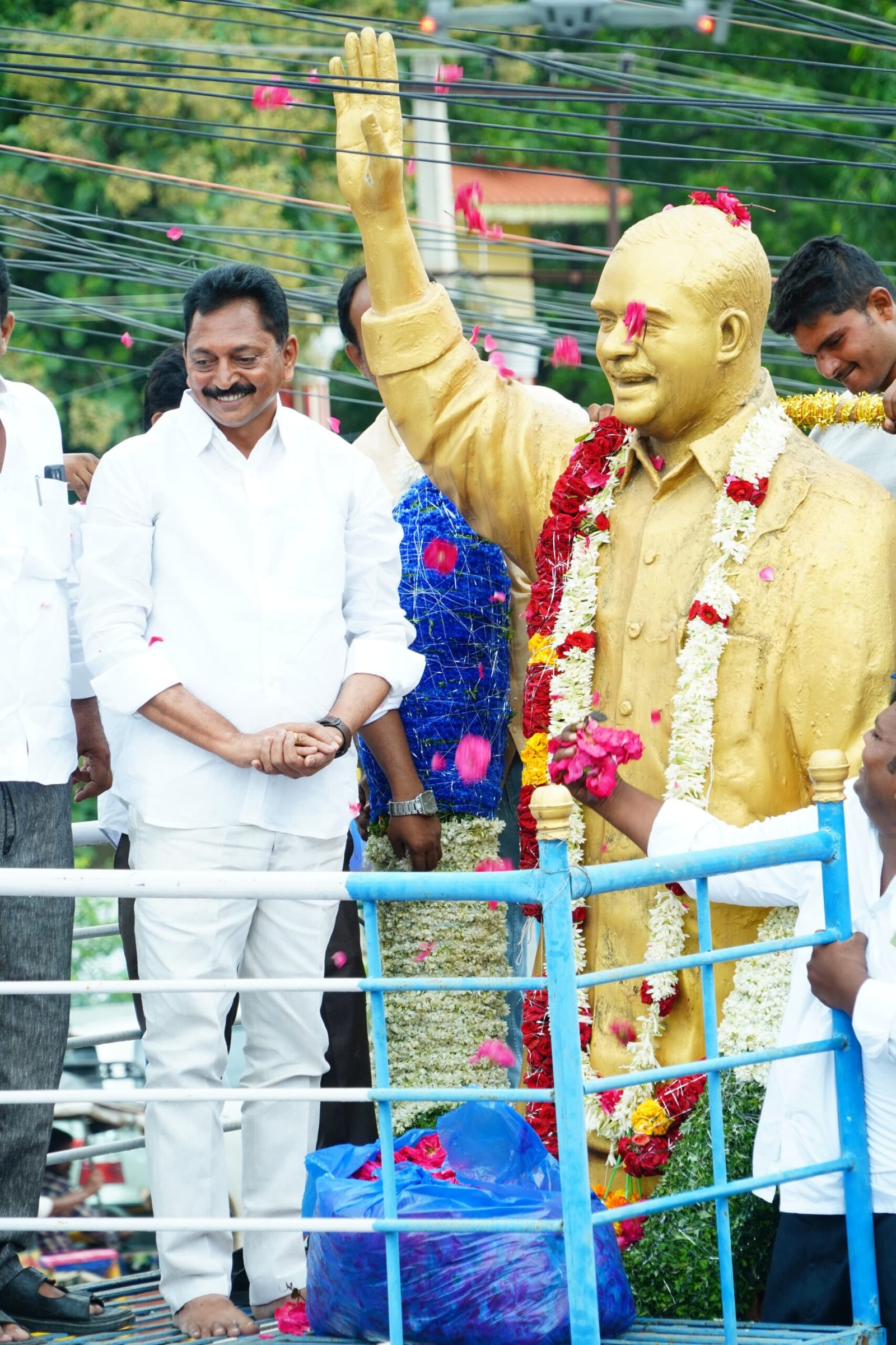 Nalleru Viswanatha Reddy