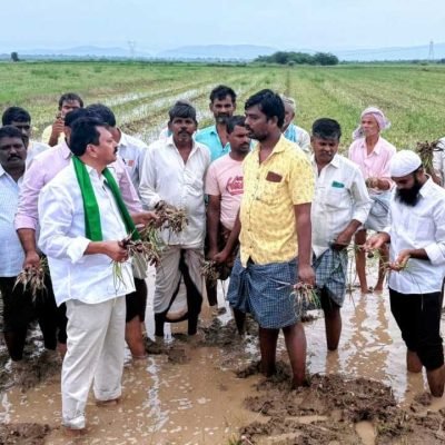 మొంథా తుఫాను వల్ల నష్టపోయిన రైతులను ప్రభుత్వం ఆదుకోవాలి — నల్లేరు విశ్వనాథ రెడ్డి